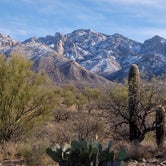 Review photo of Catalina State Park Campground by Shawn A., February 1, 2021