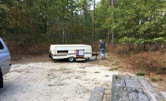 Danielle's photo of rv camping at Bass River State Forest near Lanoka Harbor, NJ