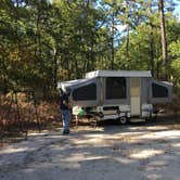 Review photo of Bass River State Forest by Danielle , February 1, 2021