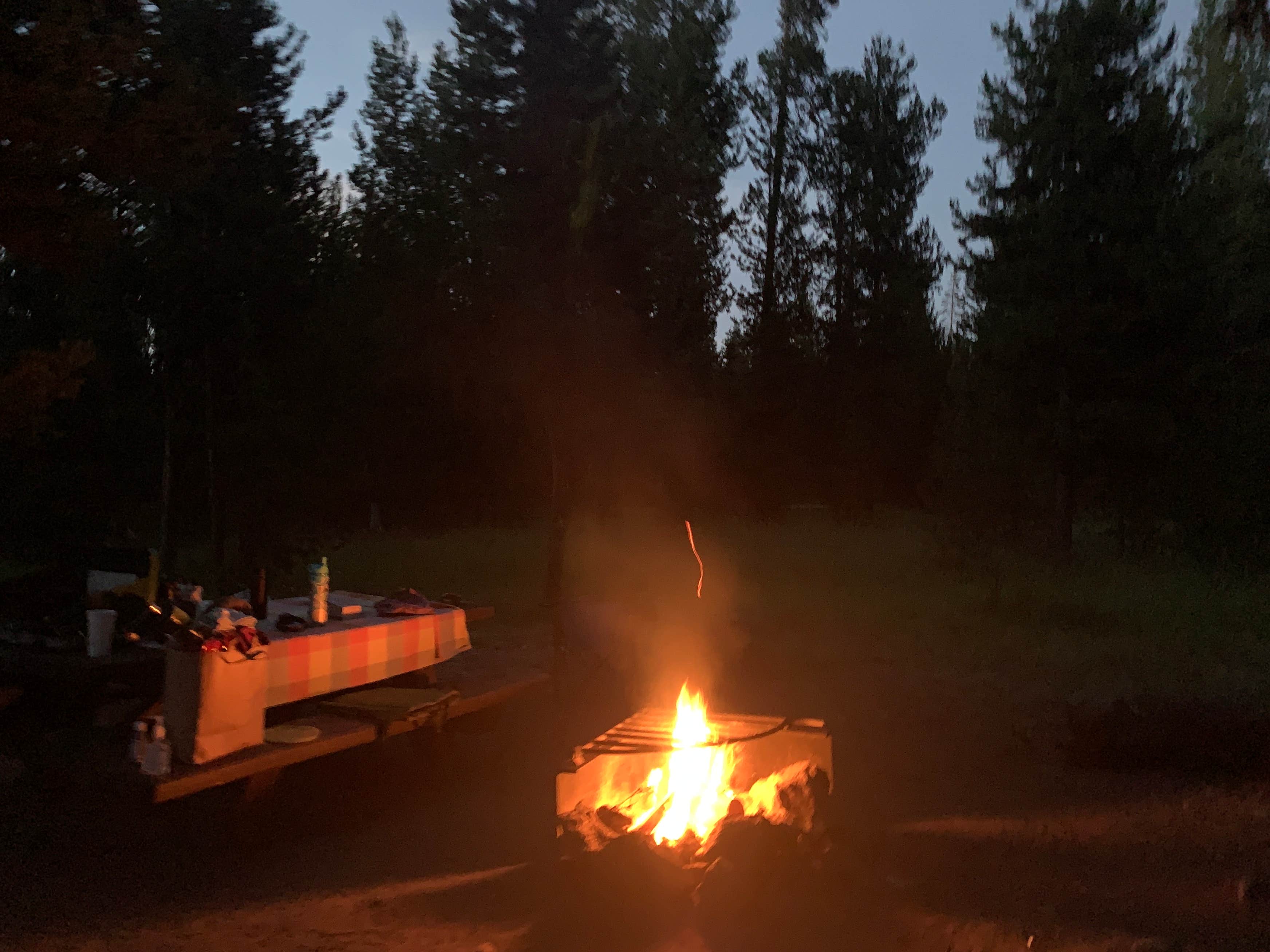 Lava Lake Campground | The Dyrt