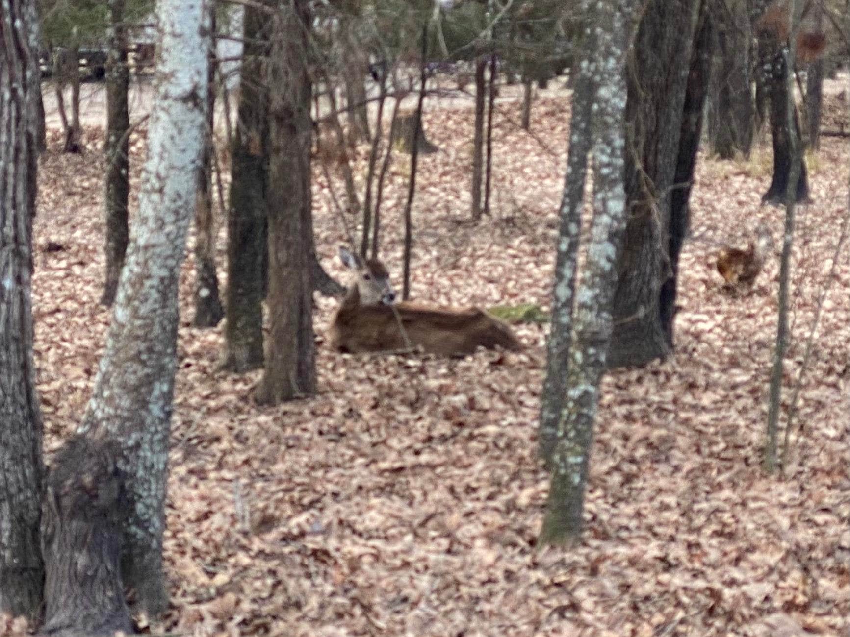 Camper-submitted photo at Wind Point Park near Rowlett, TX