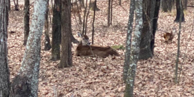 Camper submitted image from Wind Point Park