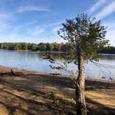 Review photo of South Sandusky Campground by Lee D., February 1, 2021