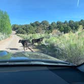 Review photo of Cathedral Valley Campground — Capitol Reef National Park by Angela G., January 23, 2021