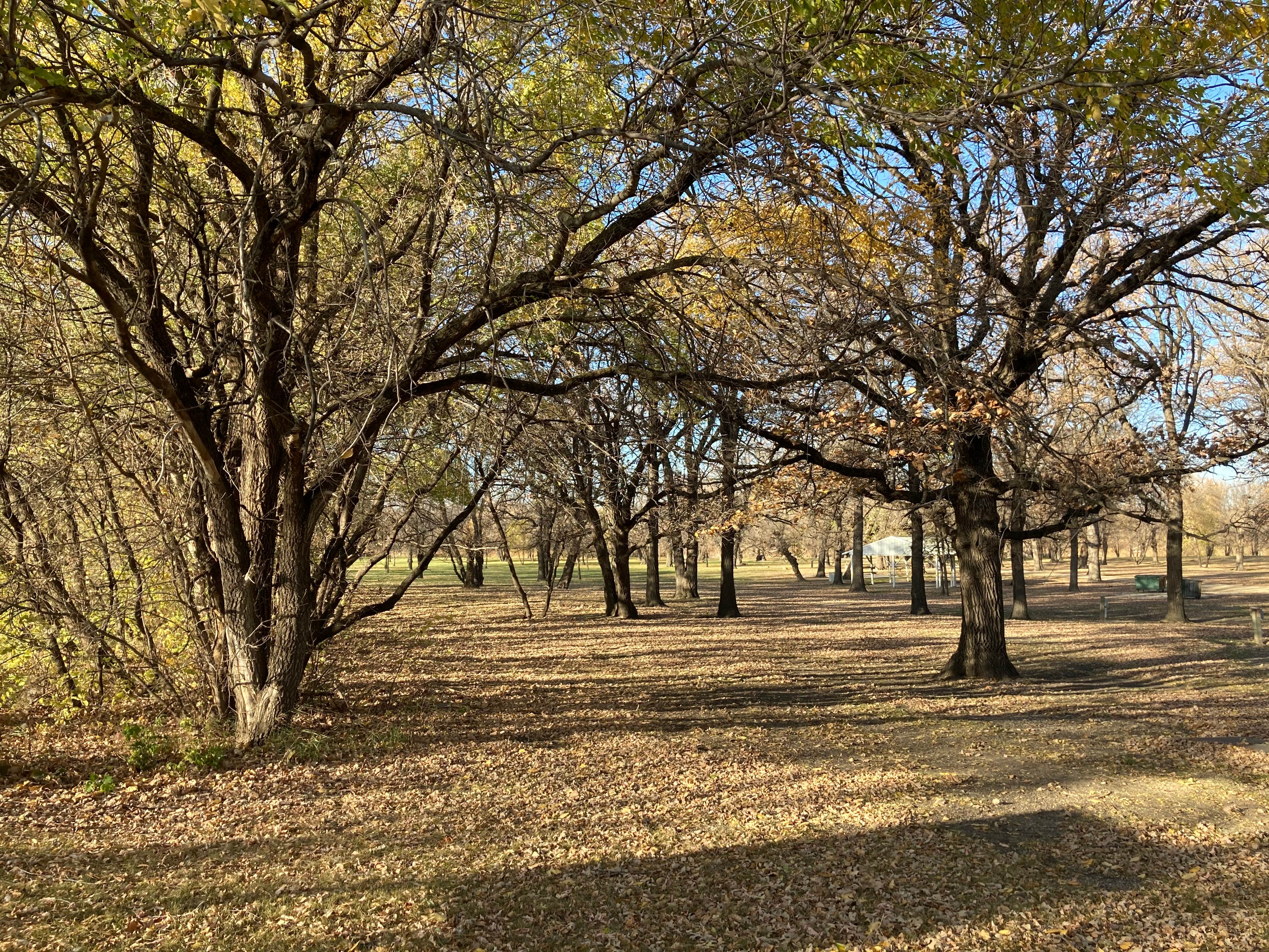 Camper-submitted photo at Belmont Park near Hillsboro, ND
