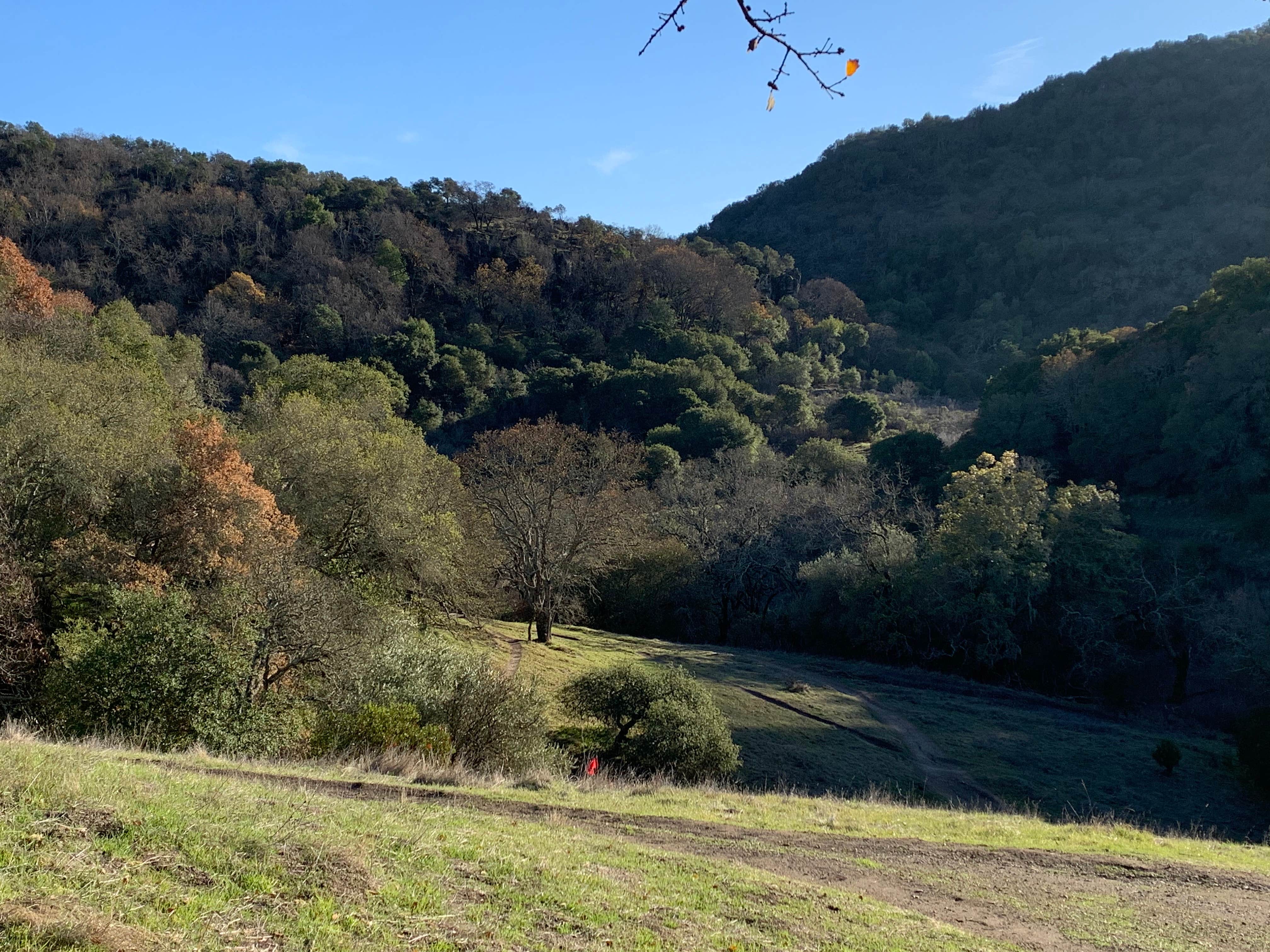 Skyline Wilderness Park