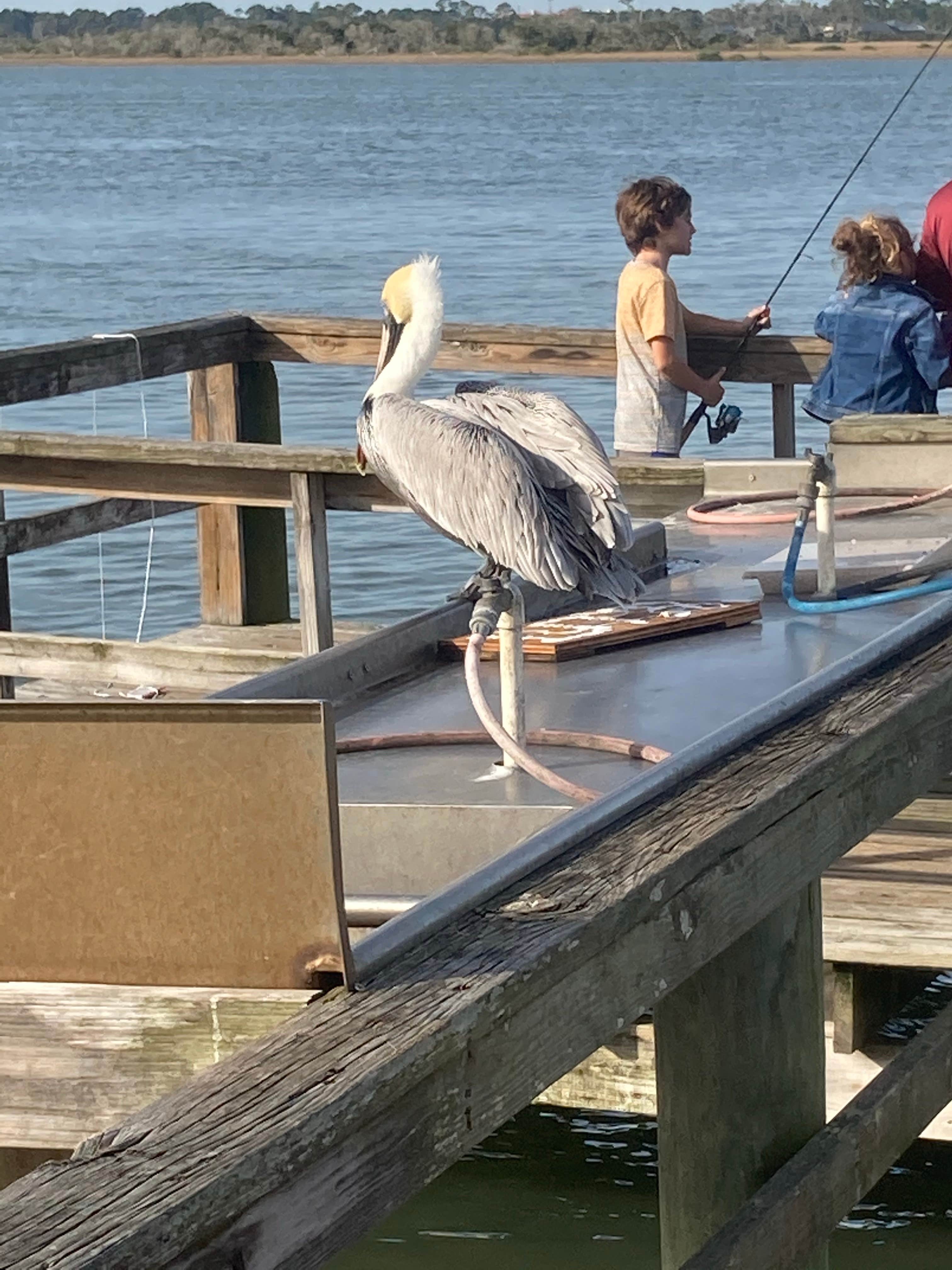 Camper-submitted photo at North Beach Camp Resort near San Mateo, FL