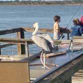 Review photo of North Beach Camp Resort by Robert , February 1, 2021