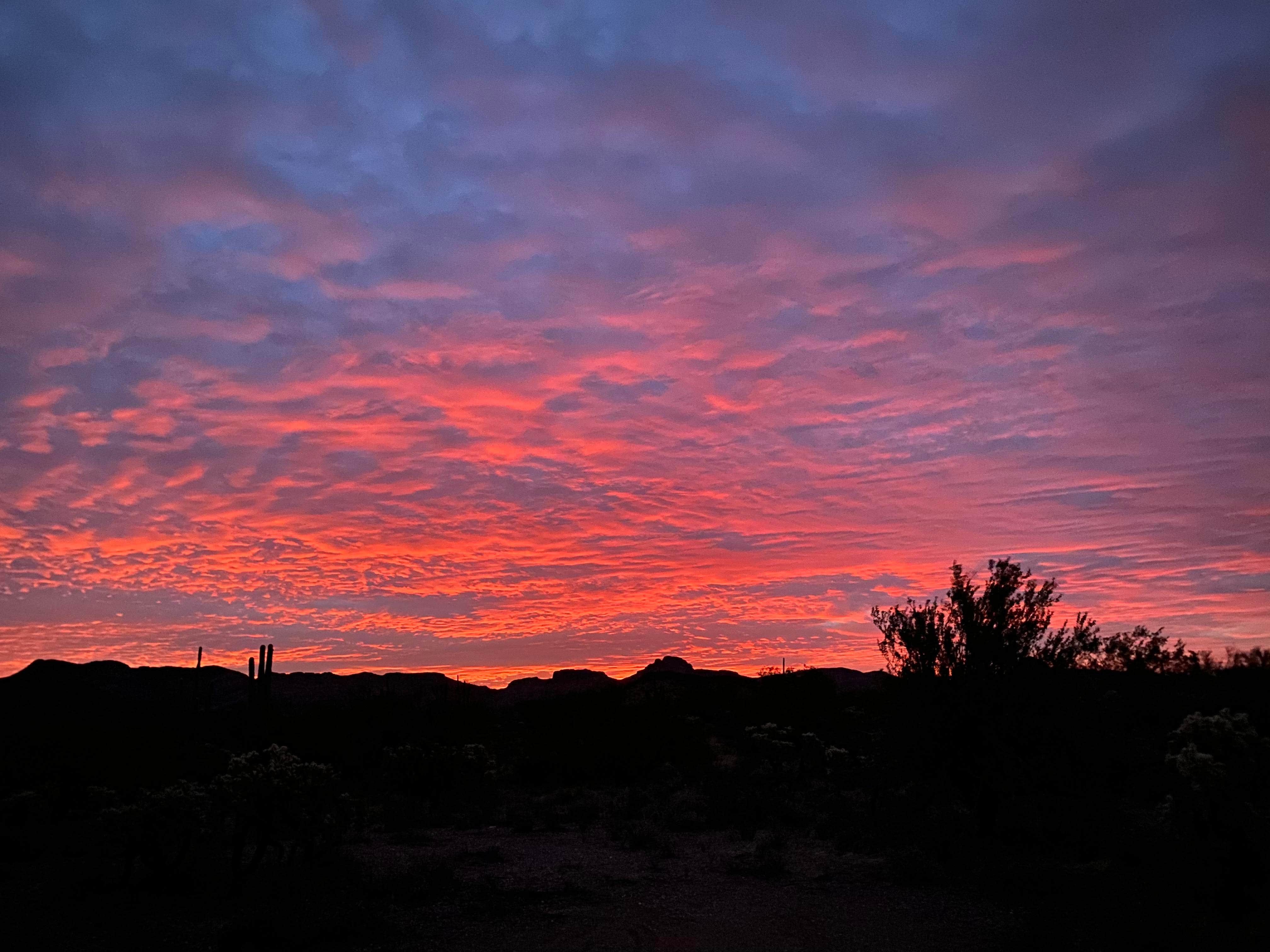 Scott C.'s photo of a dispersed camping area at Peralta Canyon / Gold Canyon Dispersed Camping - PERMANENTLY CLOSED near Salt River, AZ