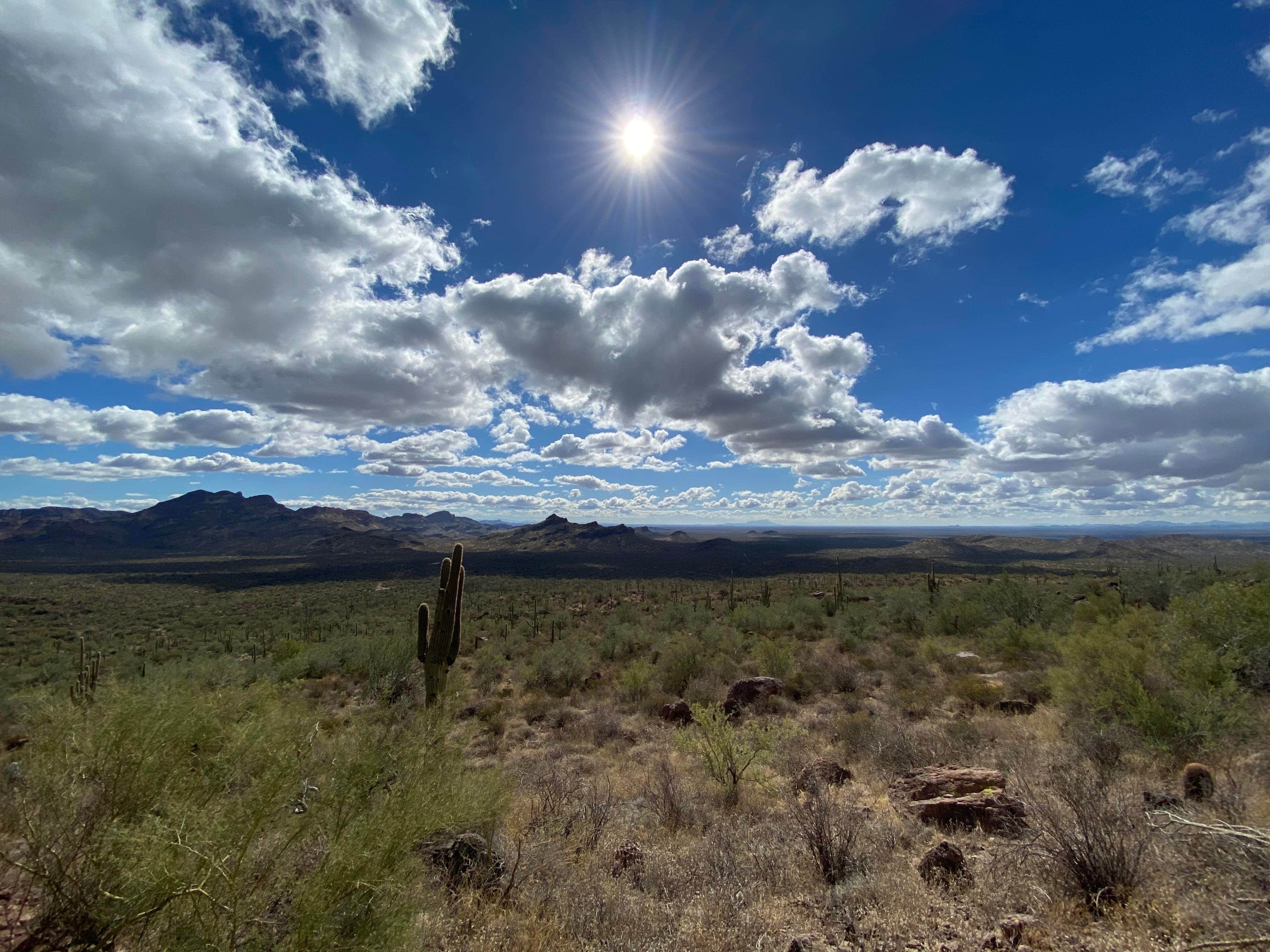 Scott C.'s photo of a dispersed camping area at Peralta Canyon / Gold Canyon Dispersed Camping - PERMANENTLY CLOSED near Salt River, AZ