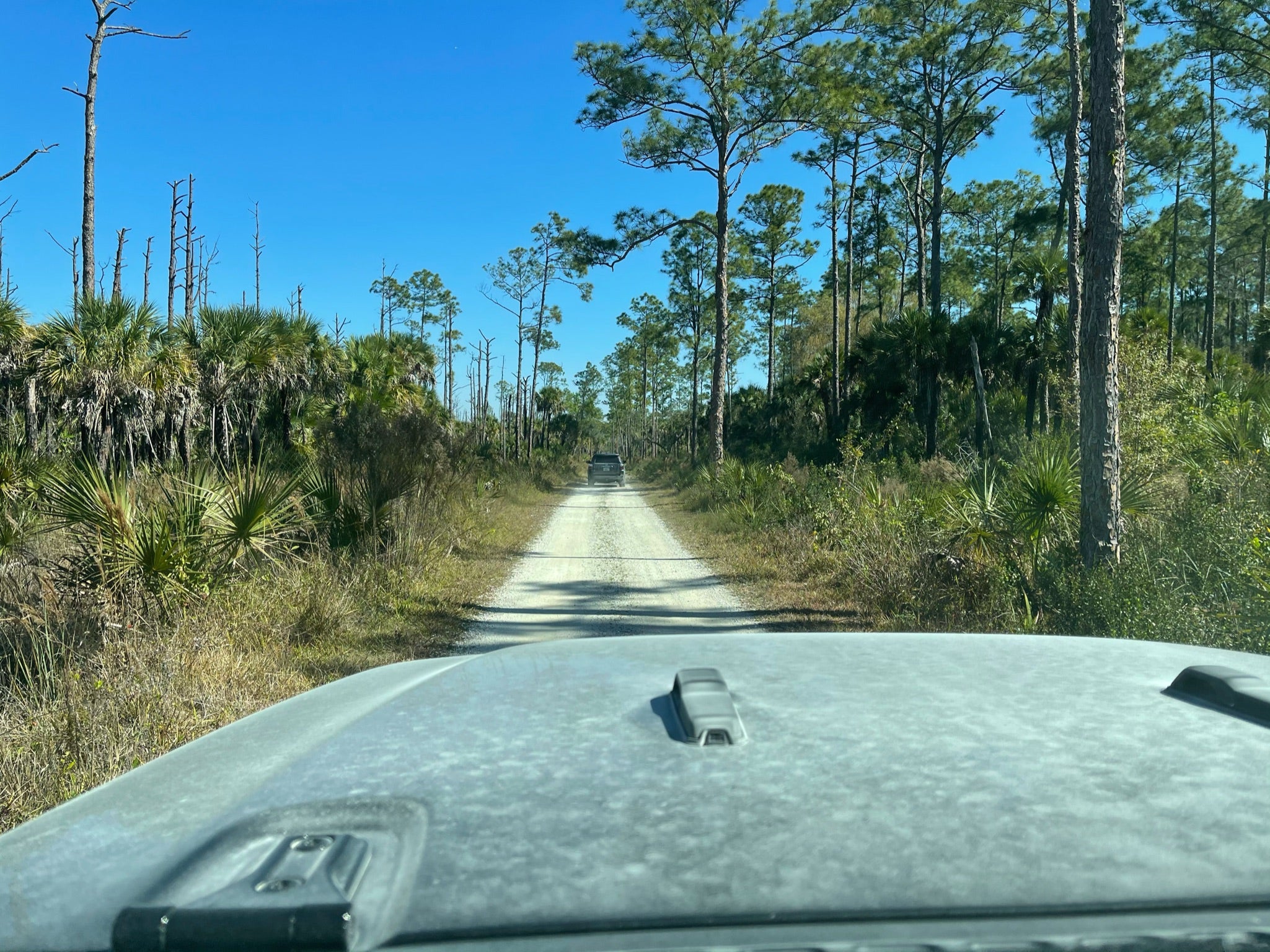 Camper submitted image from Pink Jeep Campground — Big Cypress National Preserve - 1