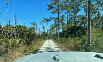 Camping near Bear Island Campground — Big Cypress National Preserve: Pink Jeep Campground — Big Cypress National Preserve, Immokalee, Florida