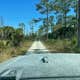Pink Jeep Campground — Big Cypress National Preserve
