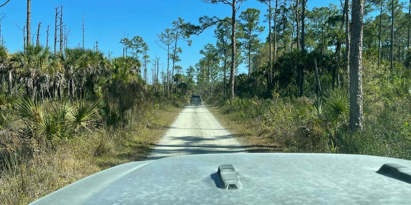 Camper submitted image from Pink Jeep Campground — Big Cypress National Preserve