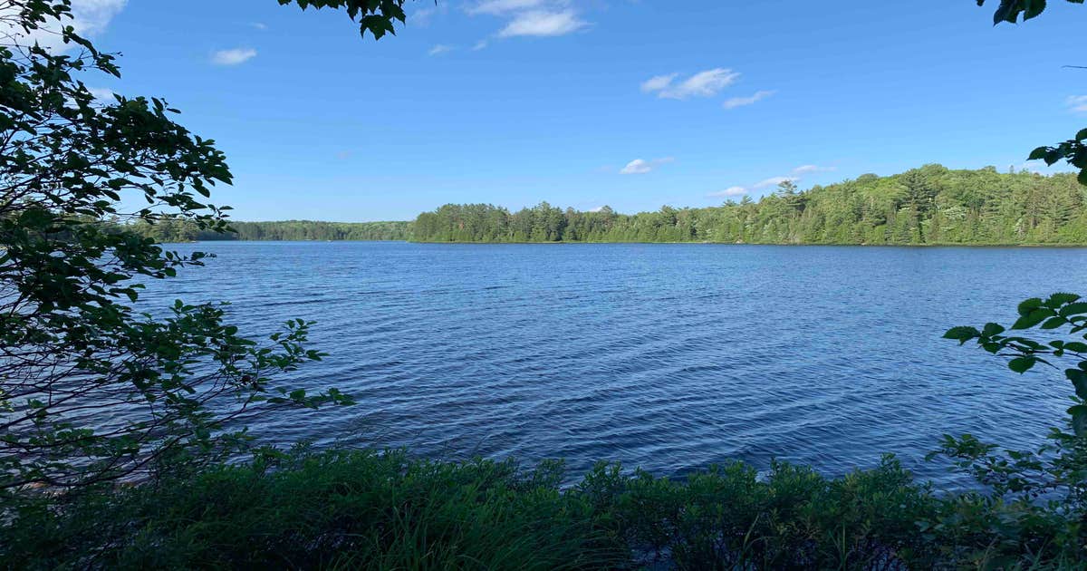 Craig Lake State Park Campground