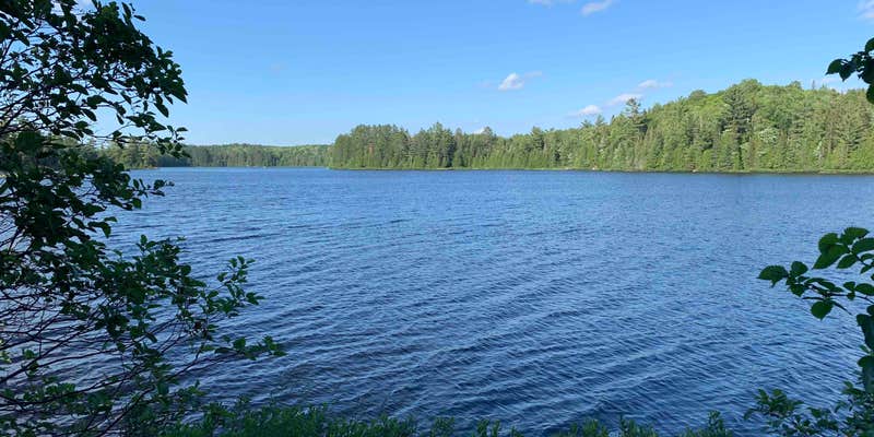 Camper submitted image from Craig Lake State Park Campground