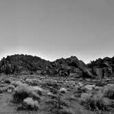 Review photo of Alabama Hills Recreation Area by Alejandro L., February 1, 2021