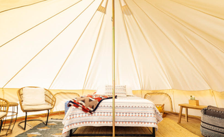 Amy G.'s photo of glamping accommodations at Electric Yurt with Cowboy Pool near La Quinta, CA