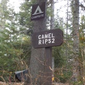 Review photo of Camel Rips by Sarah C., February 1, 2021