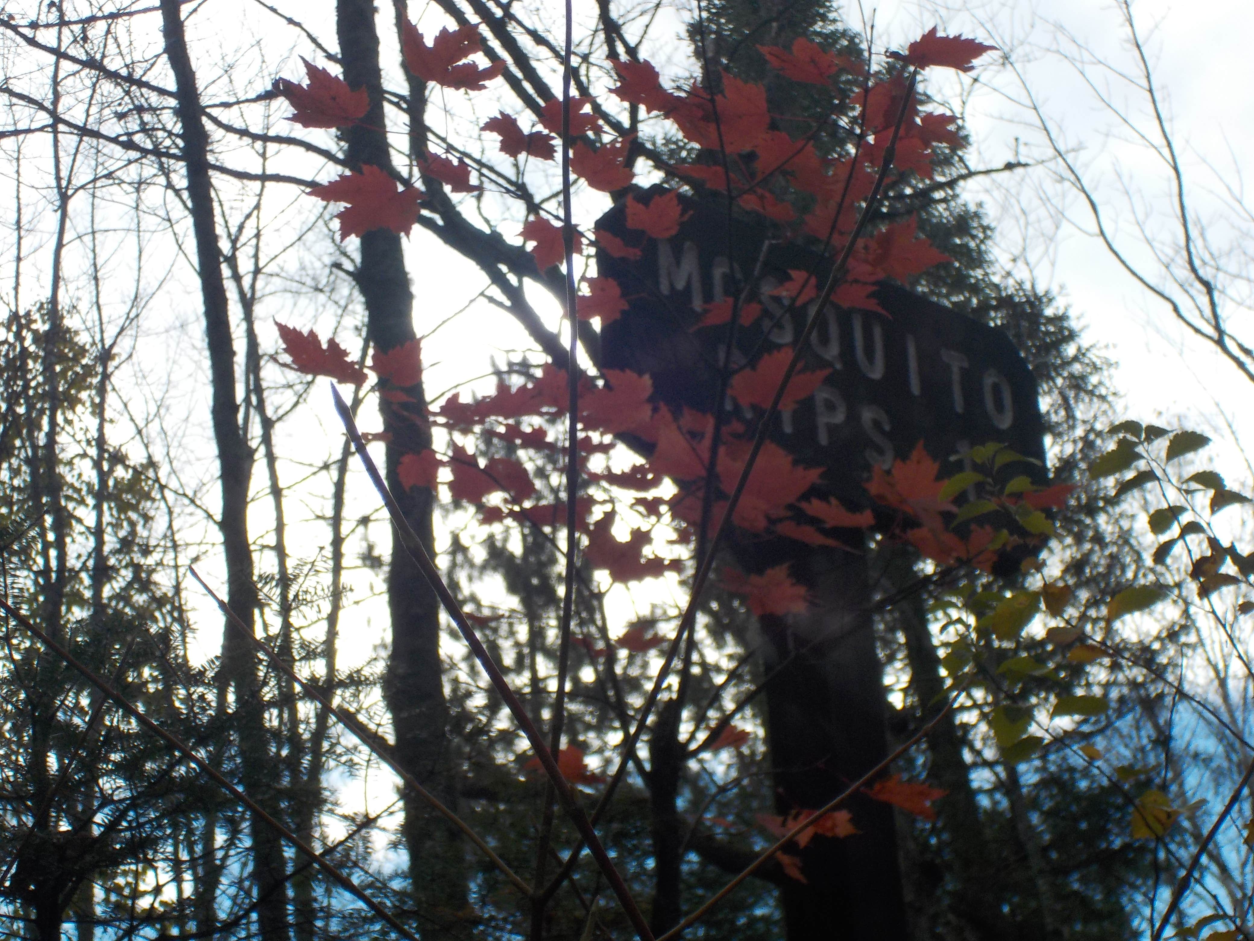 Camper-submitted photo at Mosquito Rips in Maine