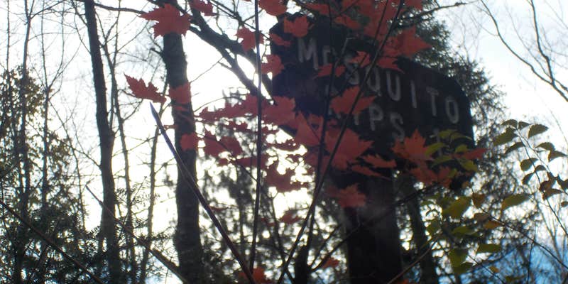 Camper submitted image from Mosquito Rips