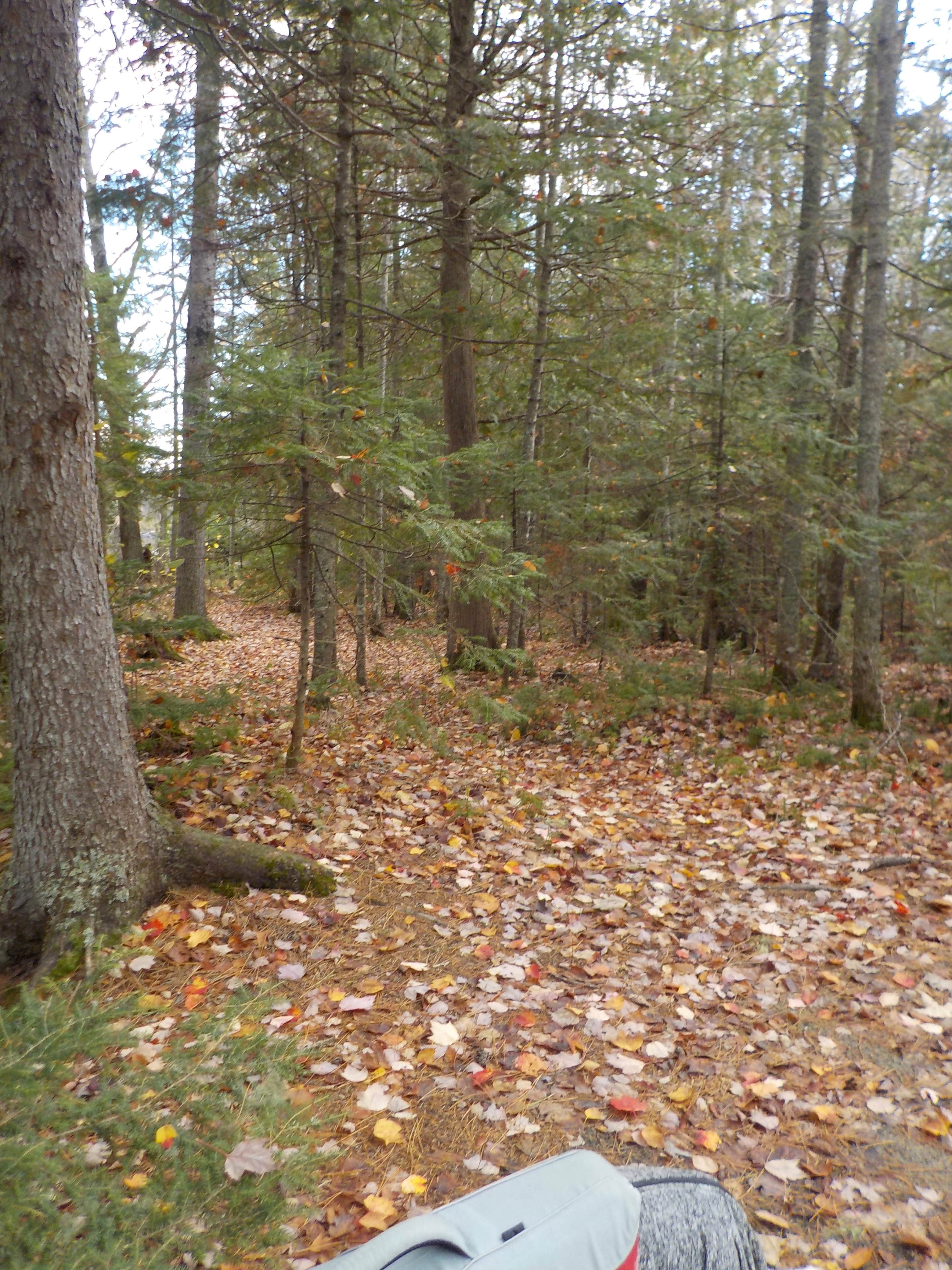 Camper-submitted photo at Mosquito Rips in Maine