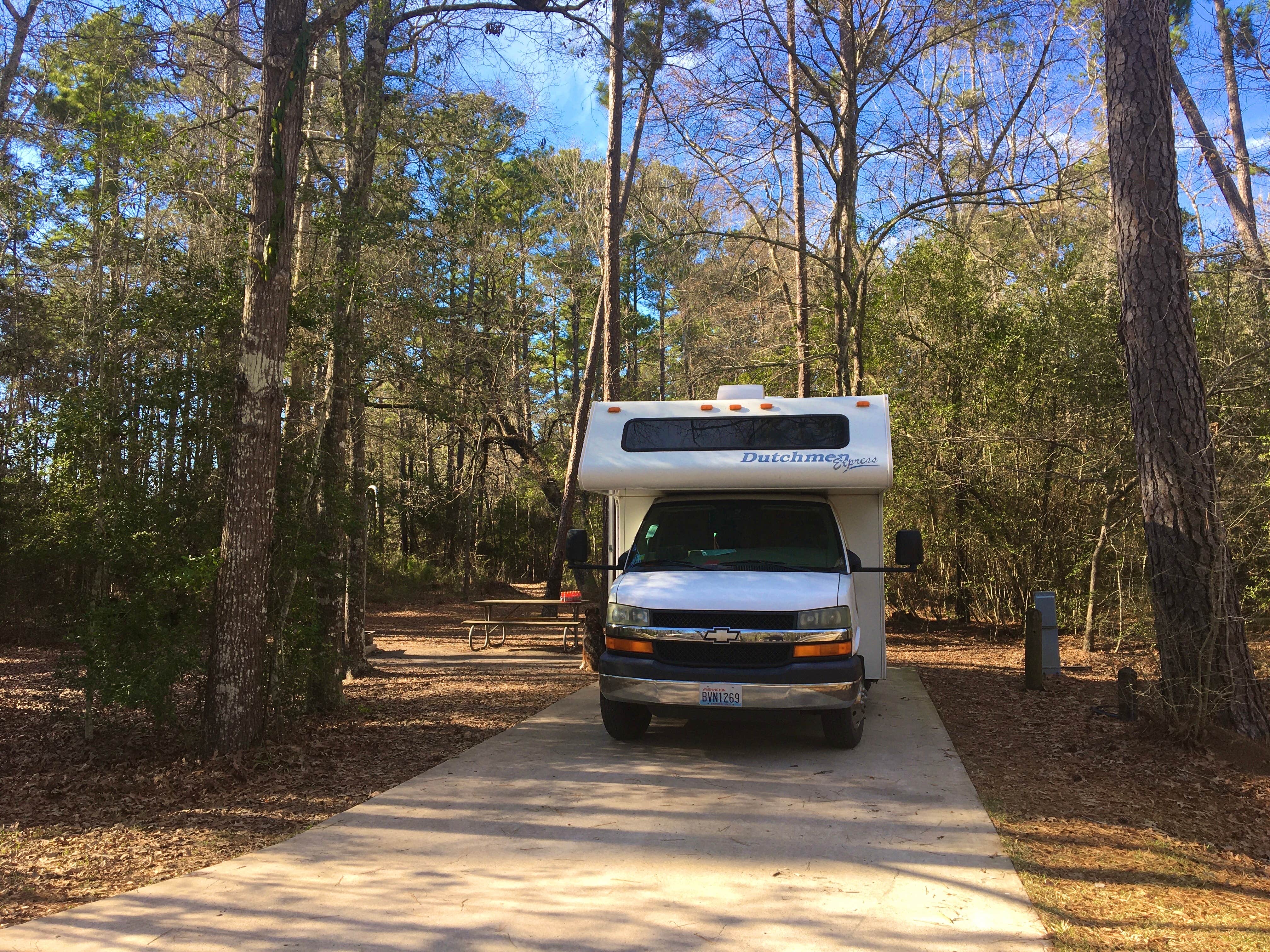Camper-submitted photo at Lake Livingston State Park Campground near Steinhagen Lake