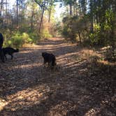 Review photo of Lake Livingston State Park Campground by Rocco , February 1, 2021