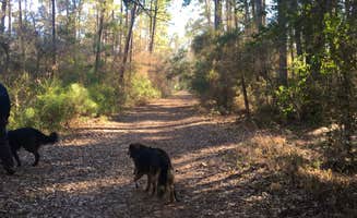 Rocco's photo of camping with pets at Lake Livingston State Park Campground near Village Mills, TX