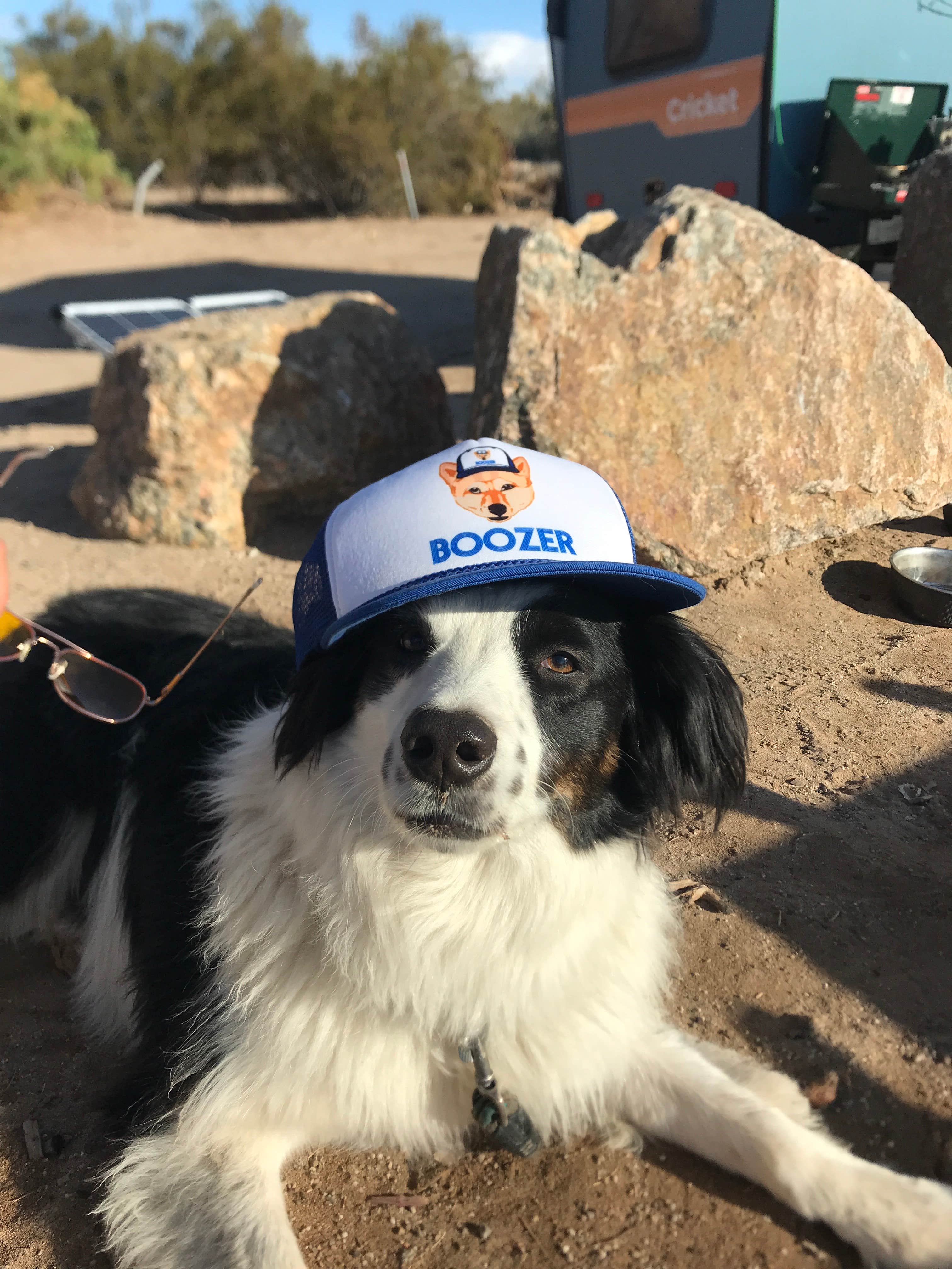 Emma J.'s photo of camping with pets at Fortuna Pond - CLOSED near Yuma, AZ