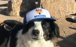 Emma J.'s photo of camping with pets at Fortuna Pond - CLOSED in Arizona