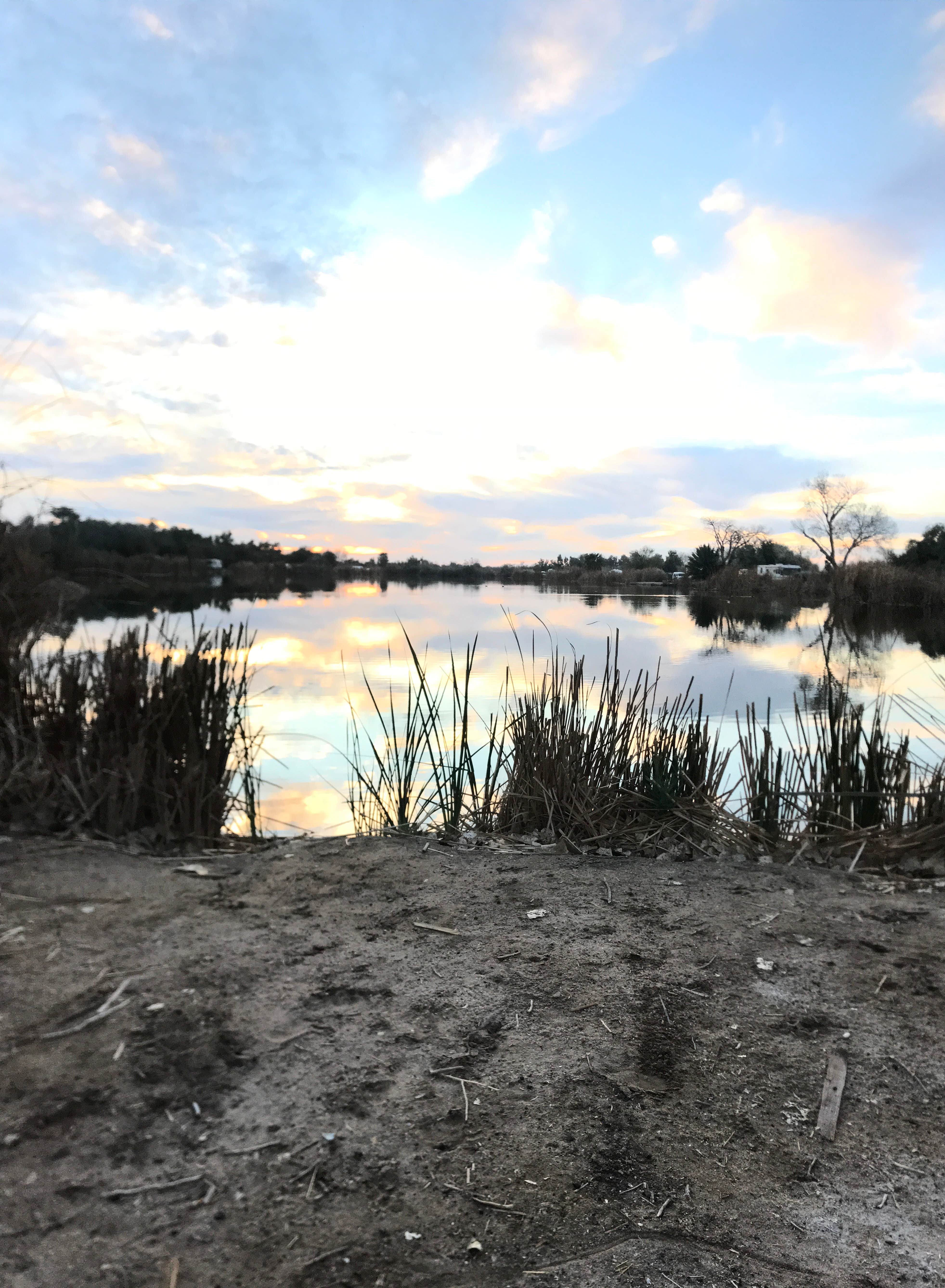 Emma J.'s photo of a dispersed camping area at Fortuna Pond - CLOSED near Wellton, AZ