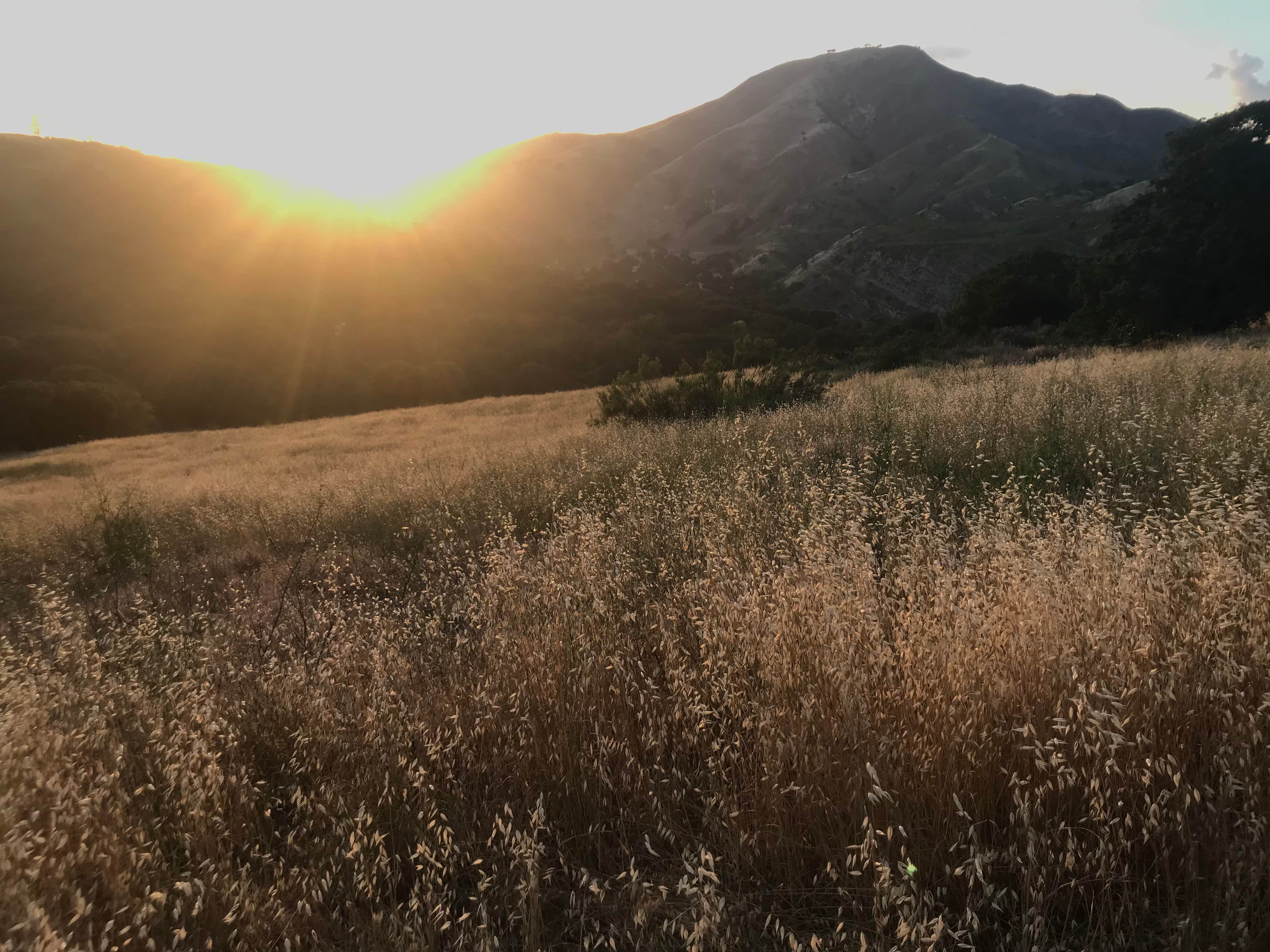 Camper-submitted photo at Los Prietos near Santa Barbara, CA