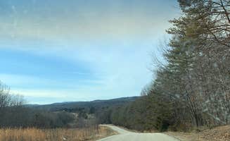 Maya S.'s photo of tent camping at Canoe Landing Group Campsite — James River State Park near Amherst, VA