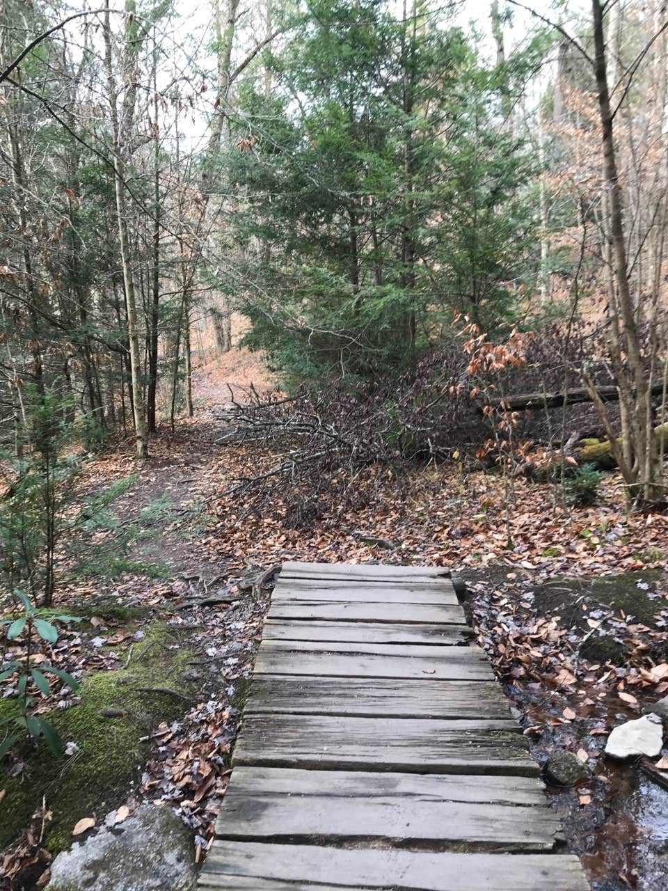 Camper-submitted photo at Hickory Run State Park Campground near Slatington, PA