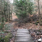 Review photo of Hickory Run State Park Campground by Maya S., February 2, 2021
