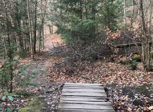 Hickory Run State Park Campground