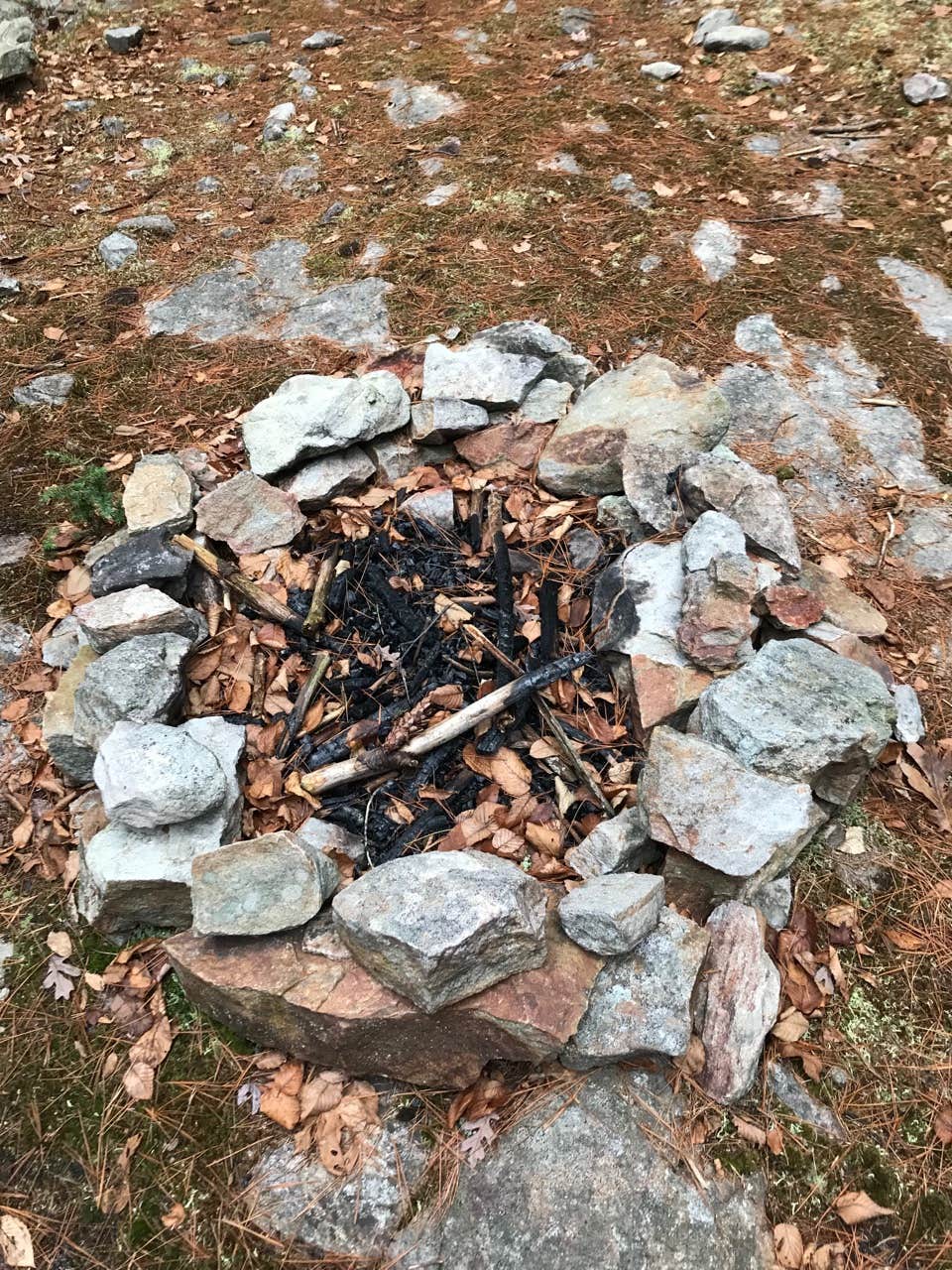 Camper-submitted photo at Hickory Run State Park Campground near Slatington, PA