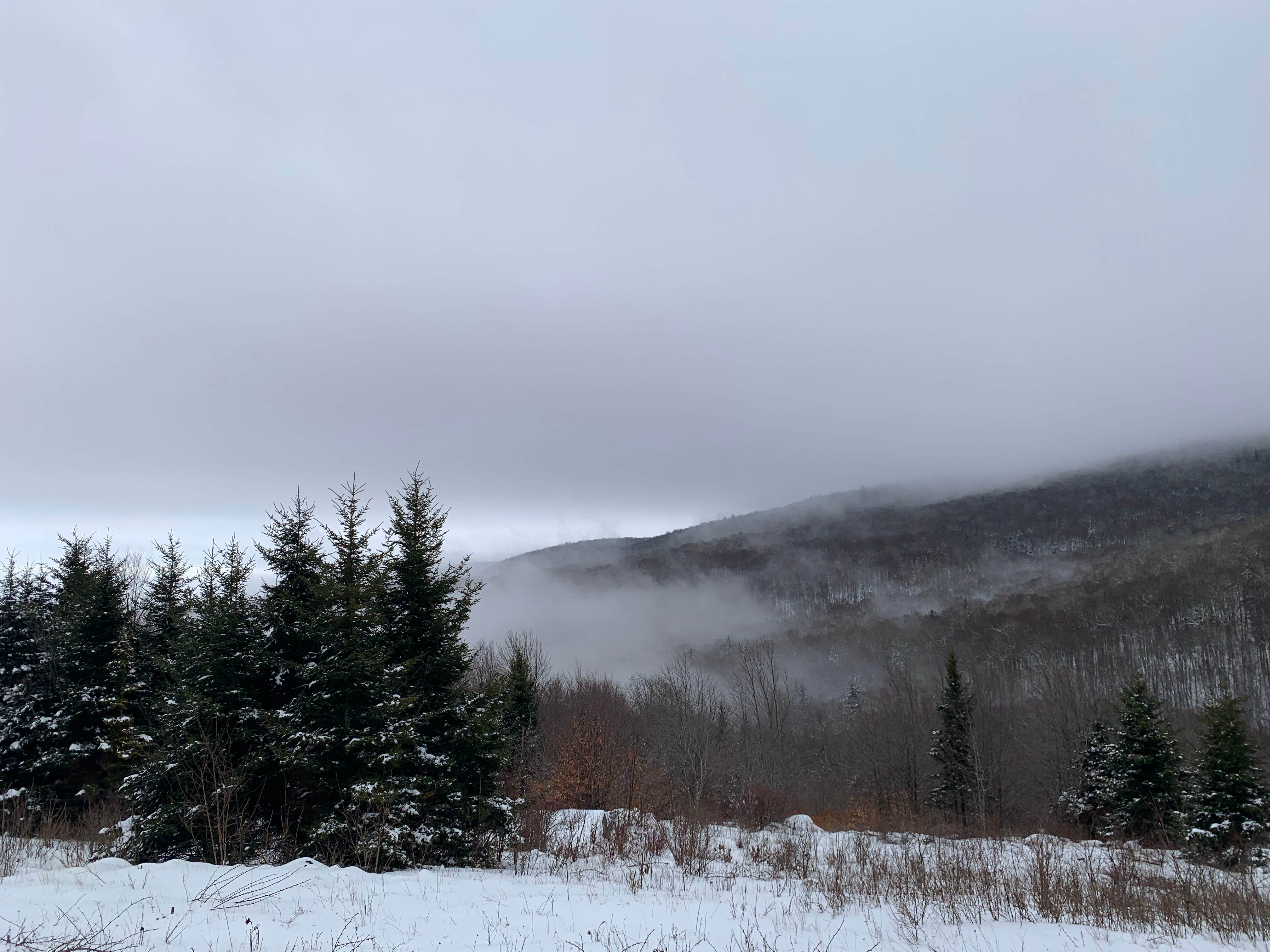 Camper submitted image from Hickory Ridge Campground — Grayson Highlands State Park - 1