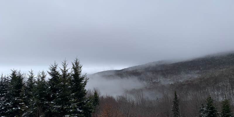 Camper submitted image from Hickory Ridge Campground — Grayson Highlands State Park