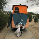 Review photo of Catalina Spa and RV Resort by Emma J., February 2, 2021
