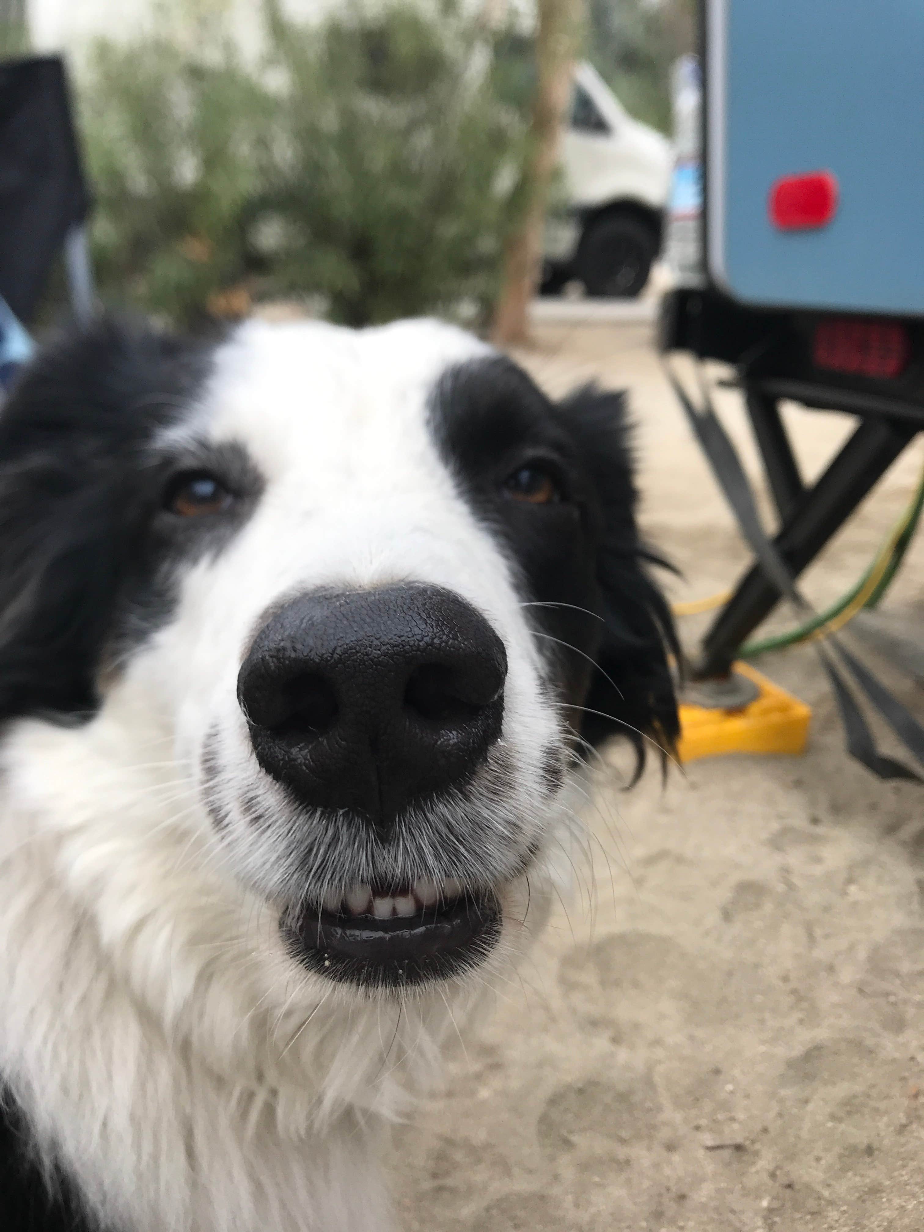 Camper-submitted photo at Catalina Spa and RV Resort near Palm Springs, CA