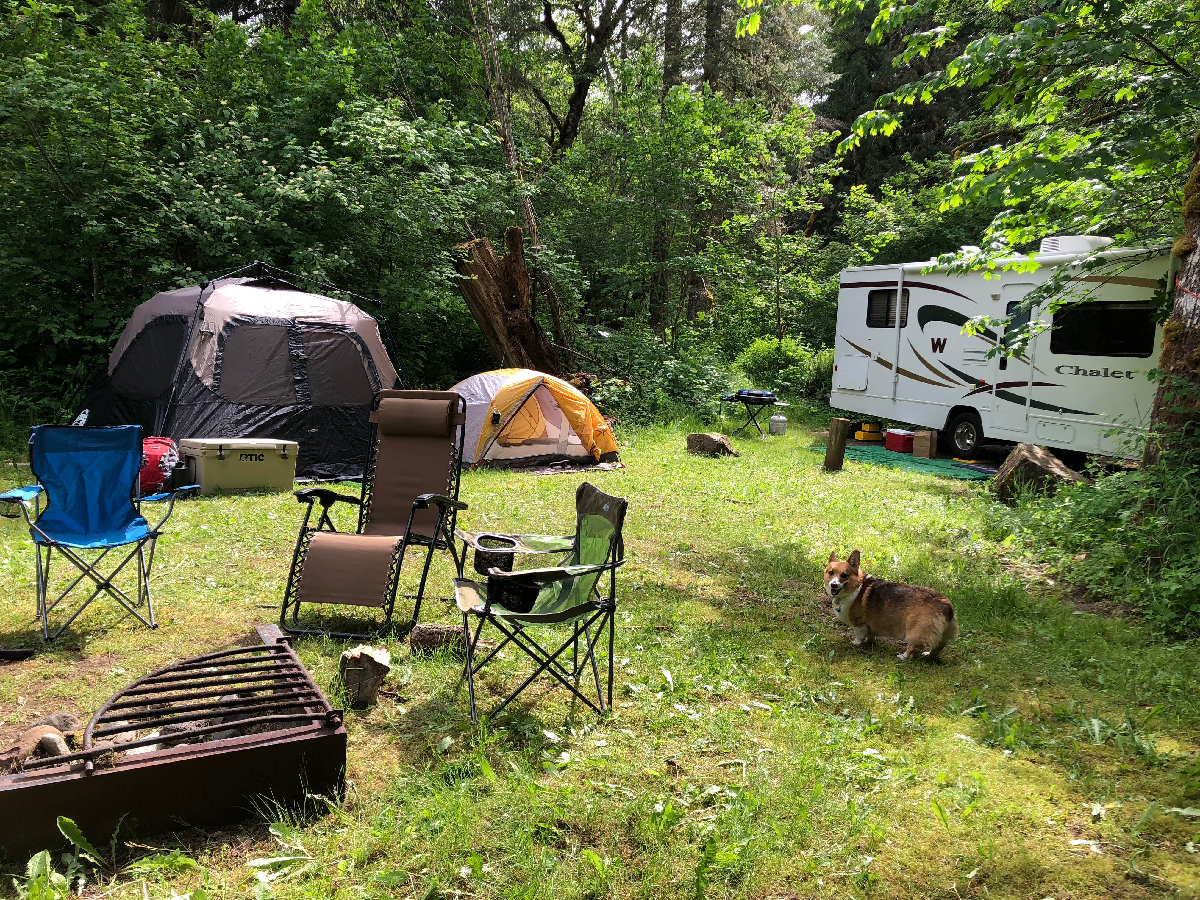 Sara S.'s photo at Tower Rock Campground near Glenoma, WA
