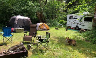 Sara S.'s photo at Tower Rock Campground near Glenoma, WA
