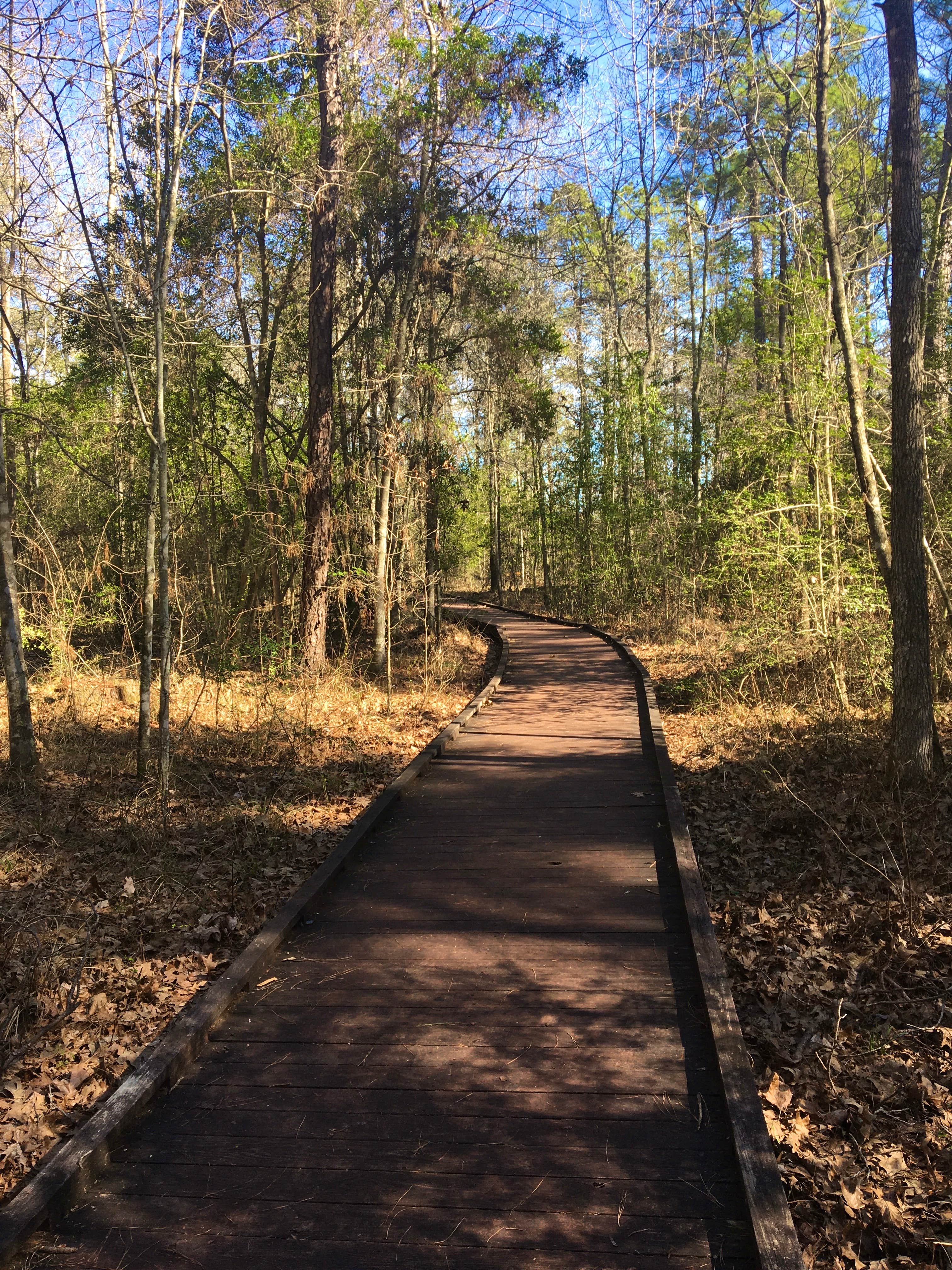 Camper-submitted photo at Lake Livingston State Park Campground near Steinhagen Lake