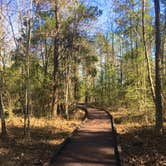 Review photo of Lake Livingston State Park Campground by Rocco , February 1, 2021