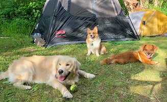 Sara S.'s photo of camping with pets at Tower Rock Campground near Randle, WA