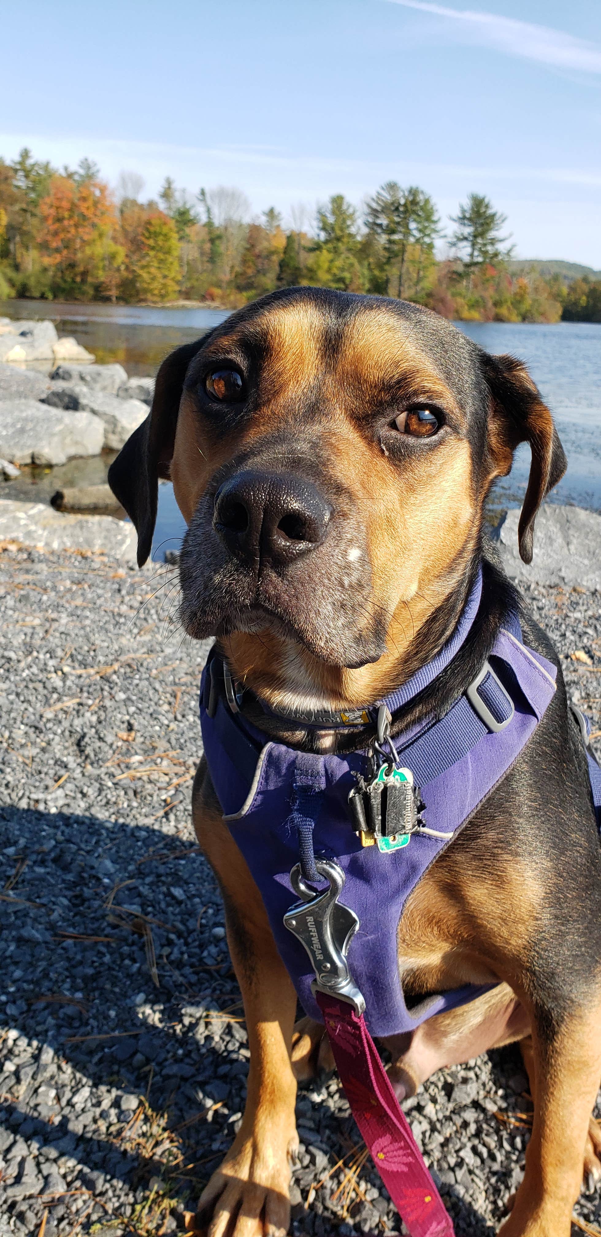 Camper-submitted photo at Nockamixon State Park Cabins near Hellertown, PA