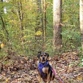 Review photo of Nockamixon State Park Campground by John S., February 2, 2021