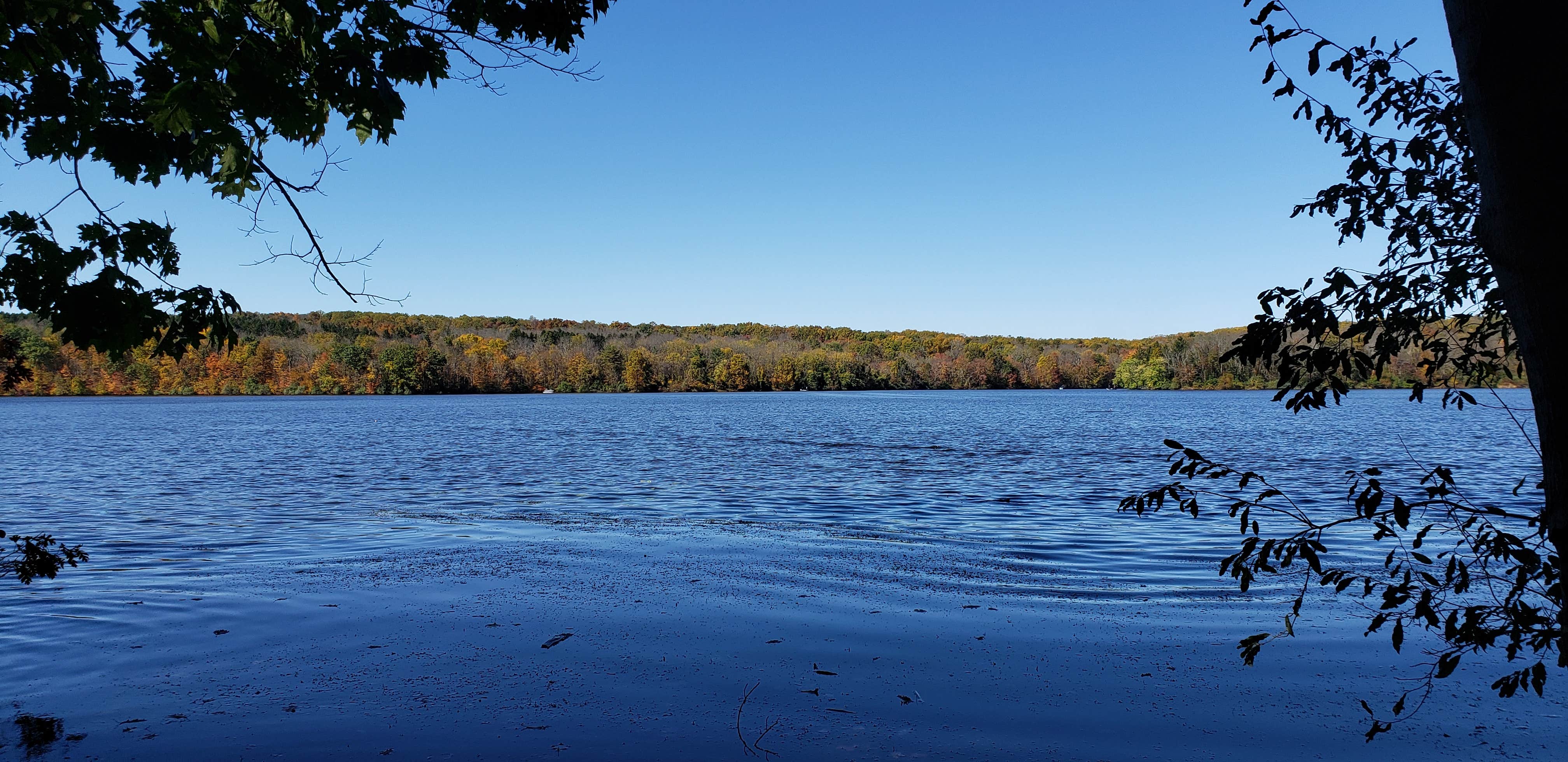 Nockamixon State Park The Dyrt